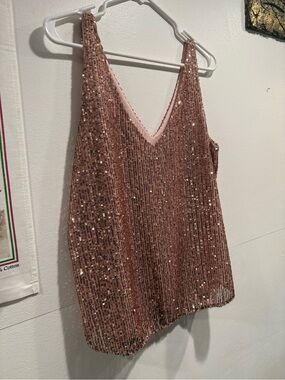 LOFT Rose Sequin V-Neck Camisole